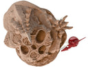 Alien Terrain Set 15