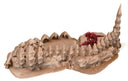 Alien Terrain Set 15